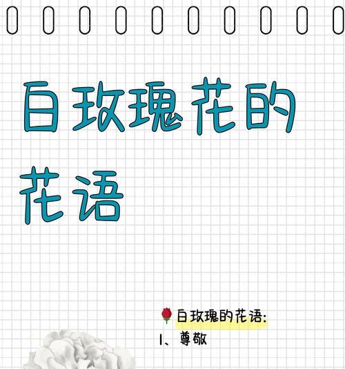 待你如初花语表达什么情感？使用场合有哪些？