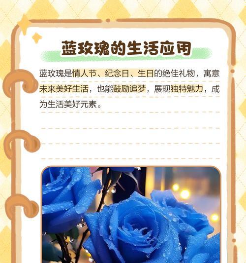 蓝玫瑰精灵的花语含义是什么？