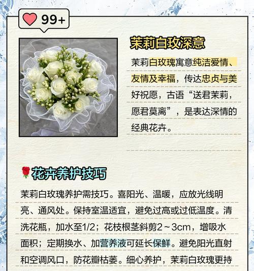 大白玫瑰的花语有何特殊含义？代表什么情感？
