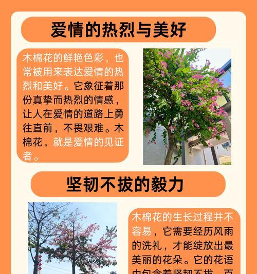 认识花的品种和花语是什么？每种花都有哪些寓意？
