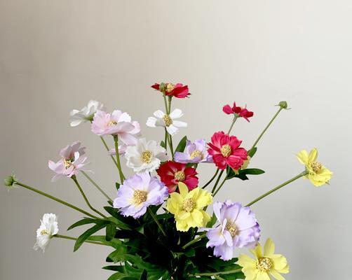雏菊点缀的花语有何含义？雏菊在花艺中扮演什么角色？