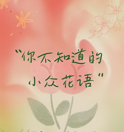 心田上的雏菊代表什么？花语有哪些含义？