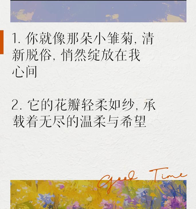 心田上的雏菊代表什么？花语有哪些含义？