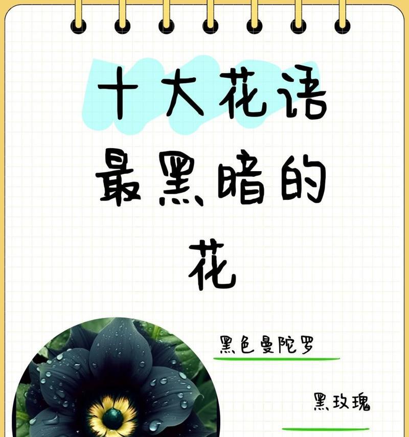 等你离开的花语是什么意思？哪种花代表等待？