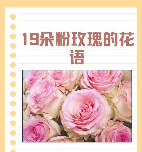 前任送的赠品玫瑰花有何含义？它在花语中代表什么？