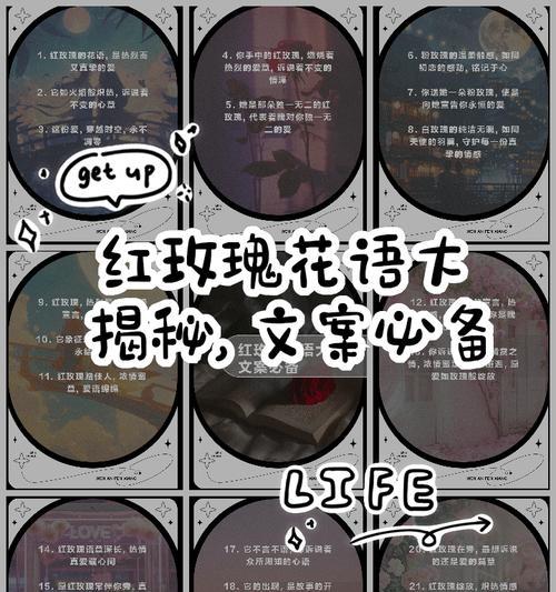 红玫瑰带刺的花语有何深意？它代表了什么？