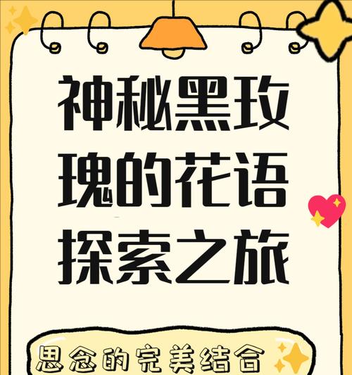 从小的玫瑰花语有何特别之处？它代表了什么意义？