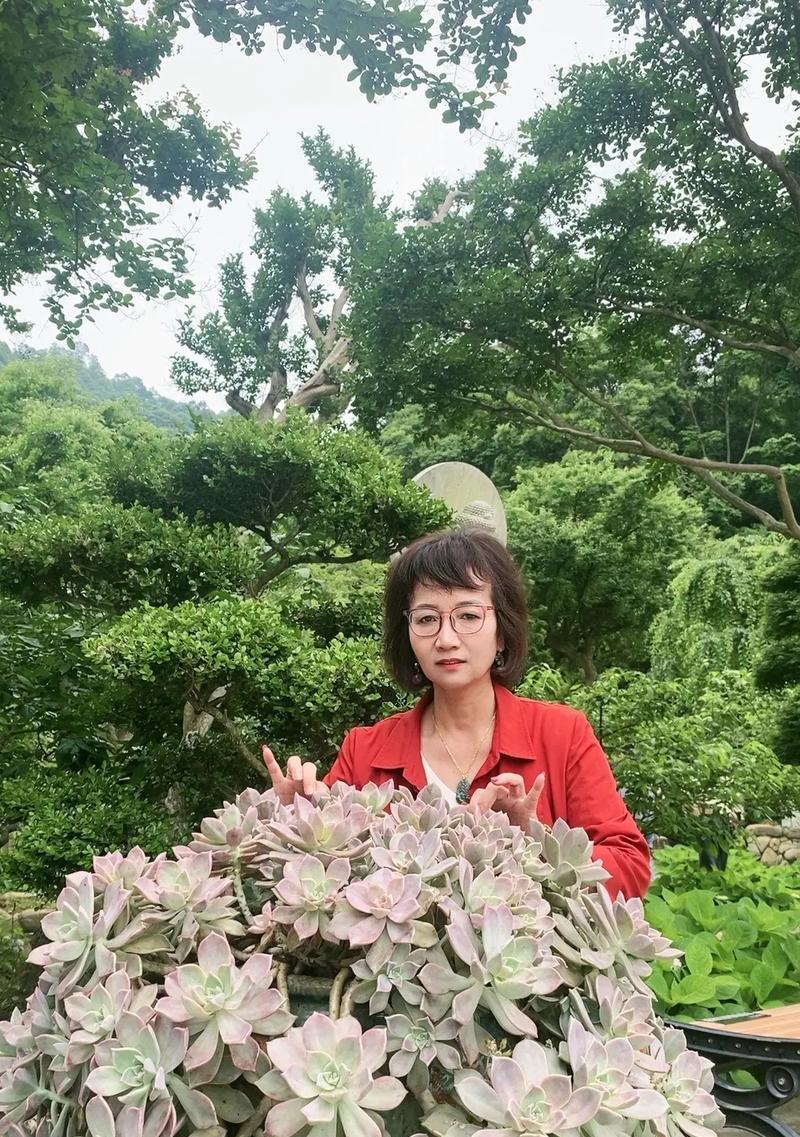 见战友的花语是什么？战友相见时的花语含义是什么？