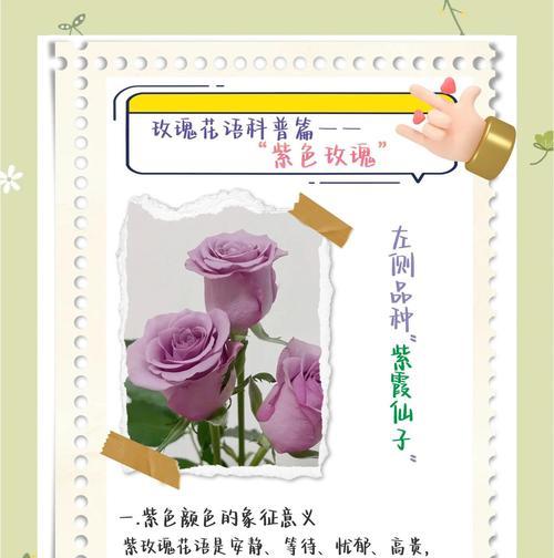 花语与寓意之间存在哪些差异和联系？它们在表达上有什么不同？
