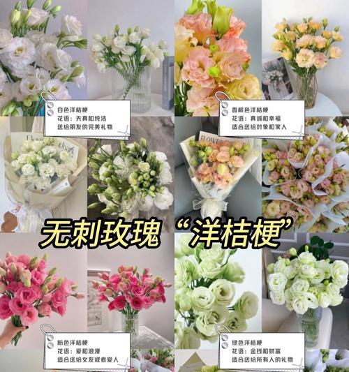 花语与寓意之间存在哪些差异和联系？它们在表达上有什么不同？