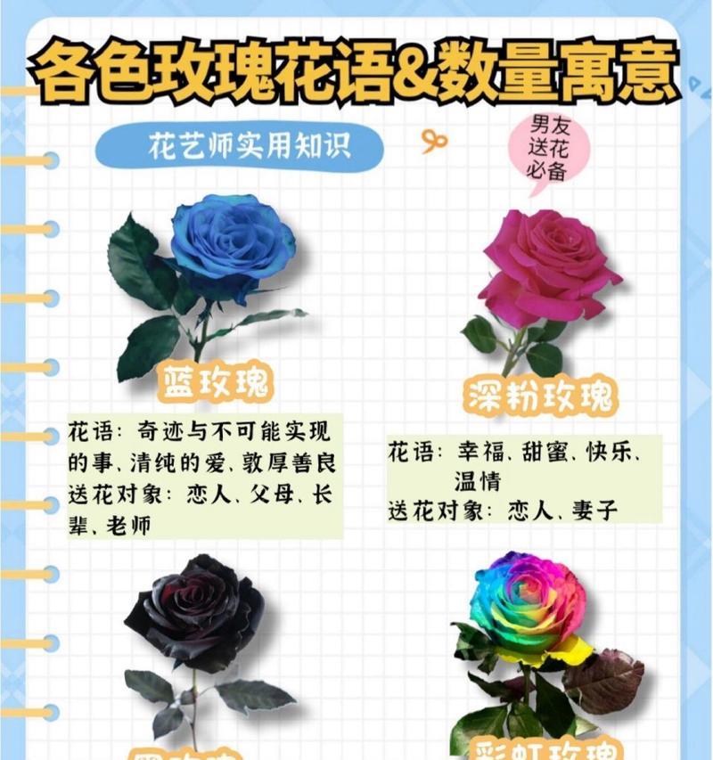 日常送花的花语代表了什么？