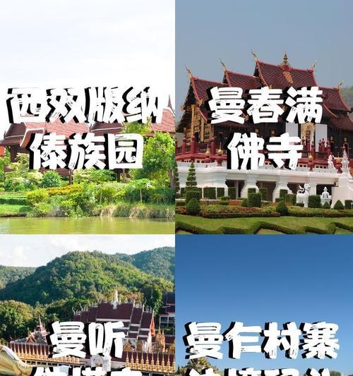 傣族花语组合代表了什么？它有何特殊含义？
