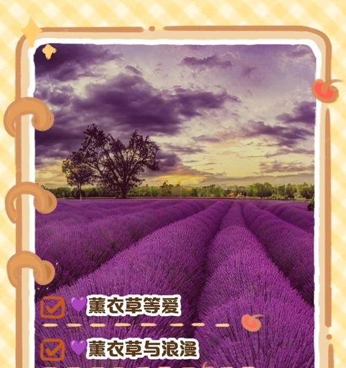 山亭紫色花语是什么？紫色花语有哪些含义？