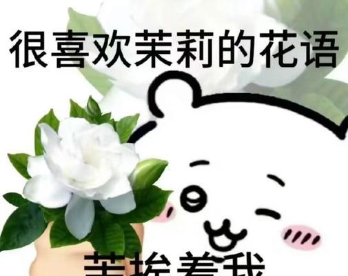 花语谐音梗有何含义？花语谐音梗代表什么？