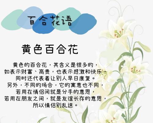 友谊的花语通常由哪种花来表达？