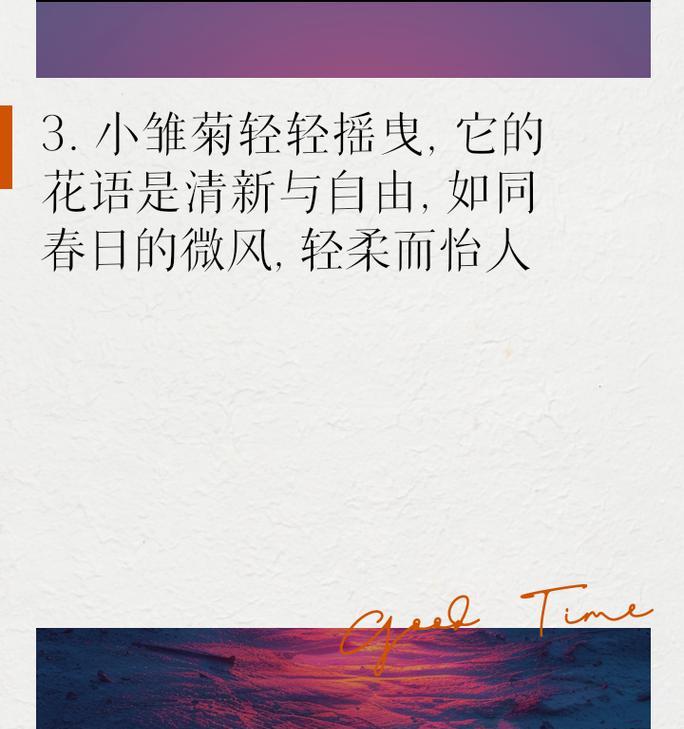 雏菊的花语寓意是什么？它代表了什么？