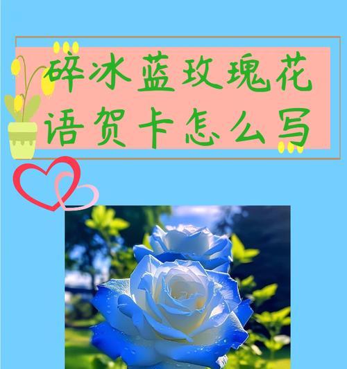 哪种花适合送给恩师表达仰慕？它的花语是什么？