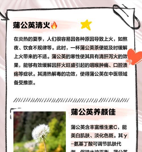 蒲公英的花语代表什么？如何用蒲公英表达情感？