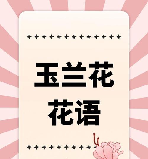寓意和花语有什么区别？粉玉兰和白玉兰的花语是什么？