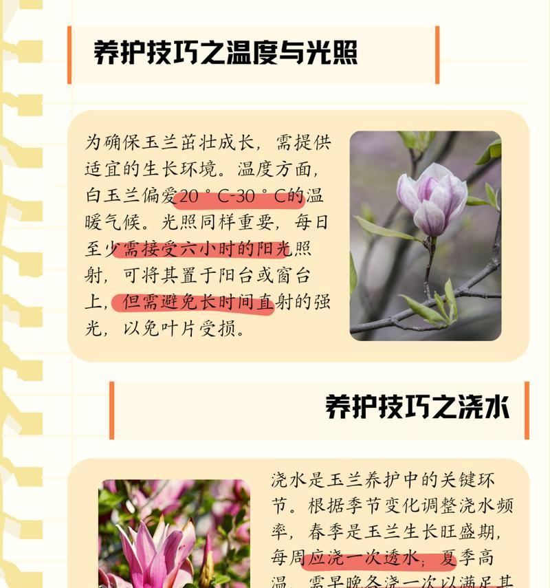 寓意和花语有什么区别？粉玉兰和白玉兰的花语是什么？