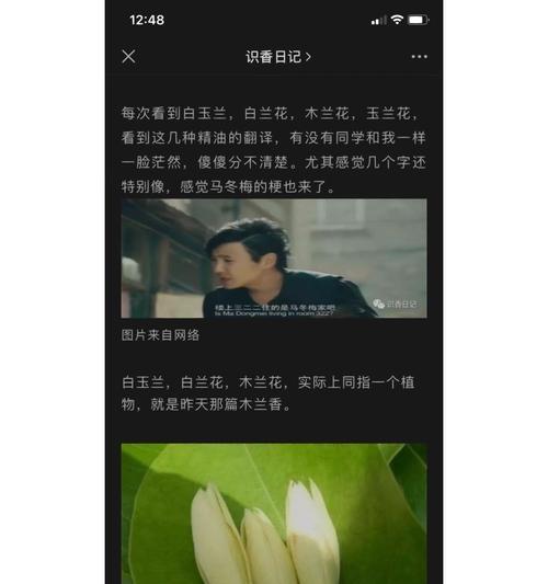 寓意和花语有什么区别？粉玉兰和白玉兰的花语是什么？