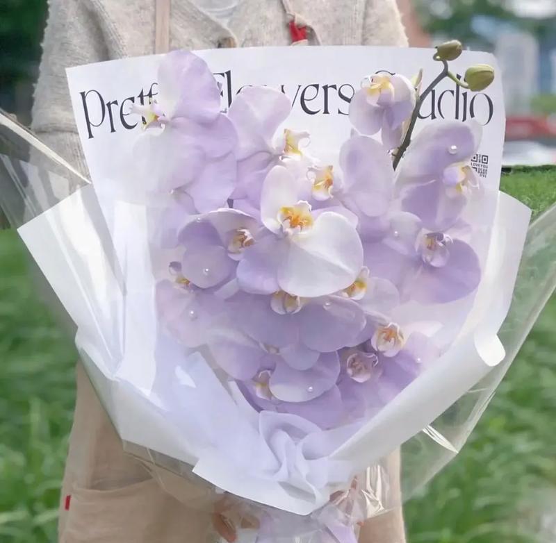 哪种花语代表幸福？寓意中包含哪些祝福？