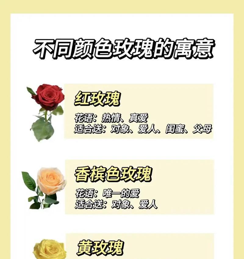 玫瑰颜色不同花语有何区别？哪种颜色的玫瑰代表什么？