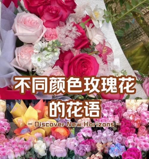 玫瑰颜色不同花语有何区别？哪种颜色的玫瑰代表什么？