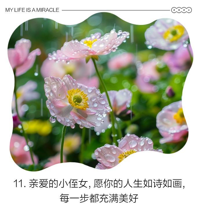 奶呼呼的花语是什么意思？喜欢奶呼呼的花语代表什么？