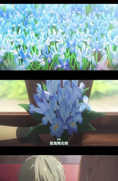 奶呼呼的花语是什么意思？喜欢奶呼呼的花语代表什么？