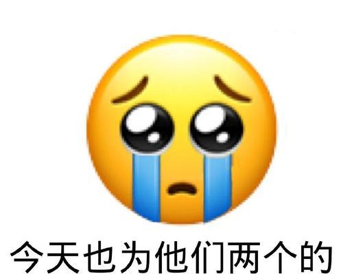 黄豆表情包中的玫瑰花语是什么？