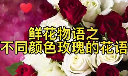 玫瑰花的花语在化妆品中代表什么？它有什么特别的含义？