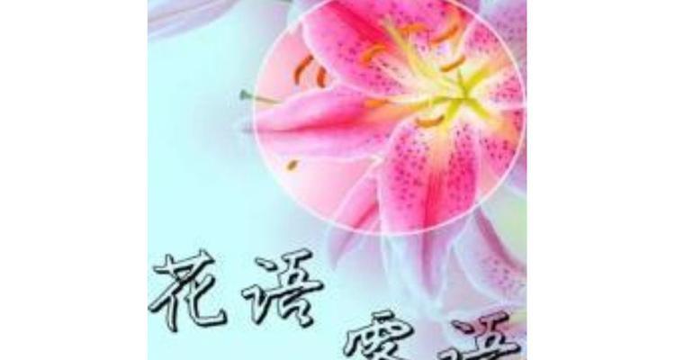 遇见花语在网络用语中是什么含义？如何正确使用？