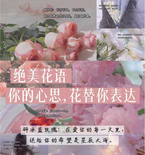 嫁人文案中的花语是什么？花语在婚礼文案中的作用是什么？