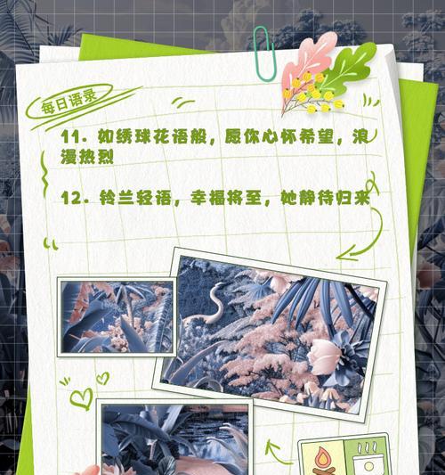 嫁人文案中的花语是什么？花语在婚礼文案中的作用是什么？