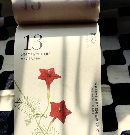 如何用花语表达“不喧宾夺主”？