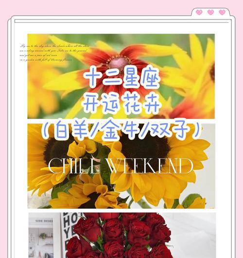 双子座玫瑰花的花语是什么？10支玫瑰花有何特别寓意？