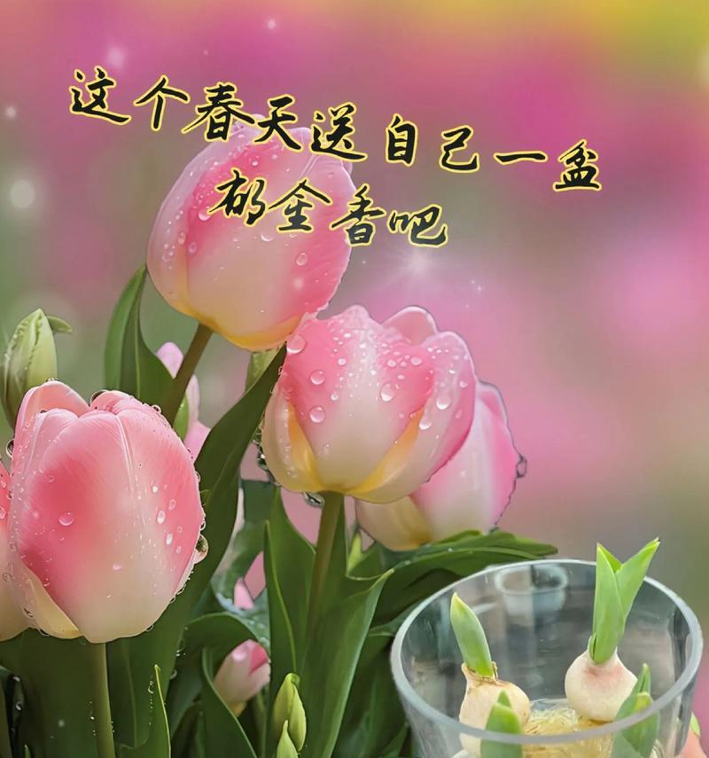 郁金香的花语是什么？哪些花可以与郁金香搭配？