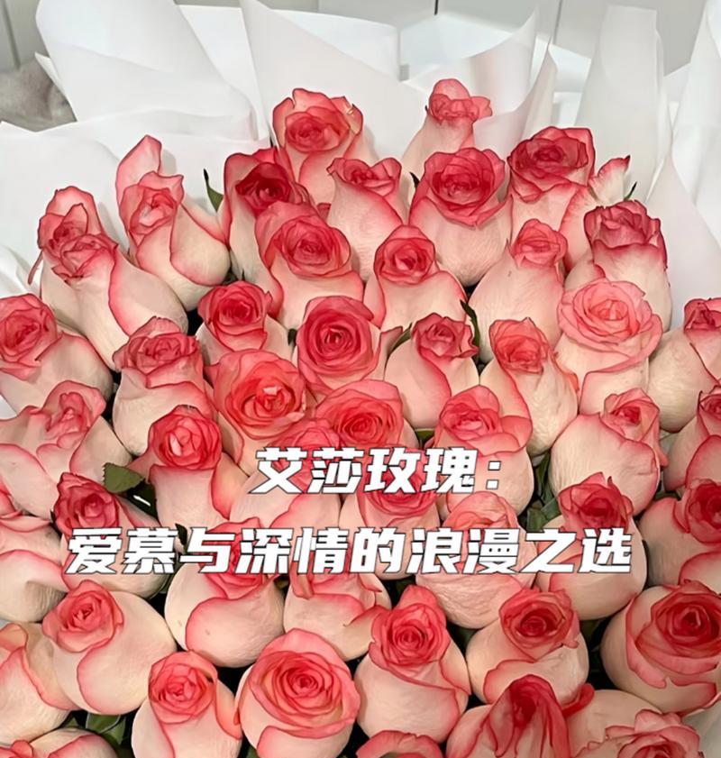 艾莎花语有哪些特别之处？