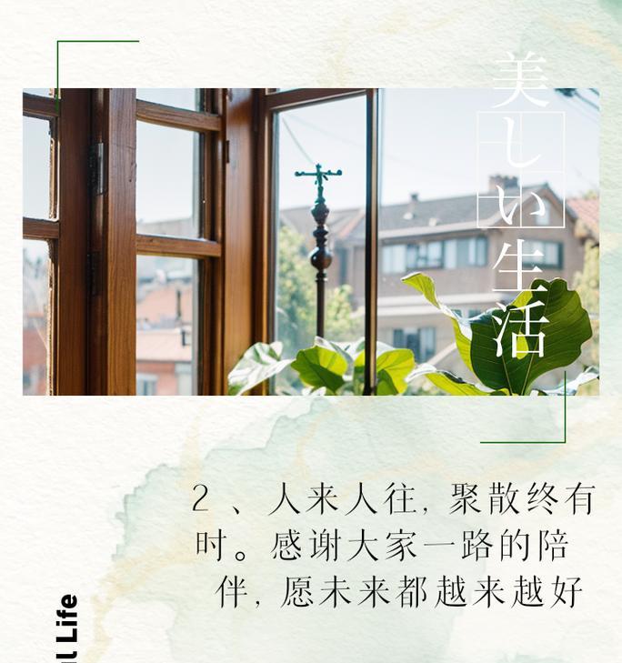 永远别再见的花语意味着什么？它在告别时传达了怎样的情感？