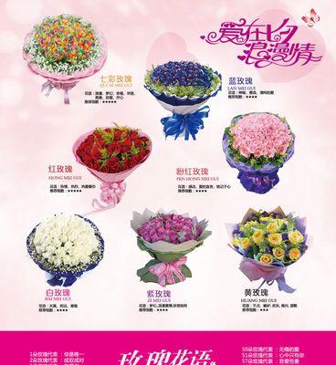 玫瑰花送多少朵寓意更好？不同数量的玫瑰代表什么？