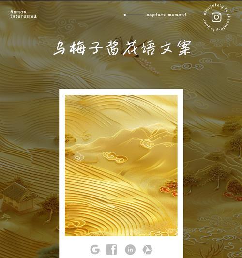 送给梅子的花语是什么呢