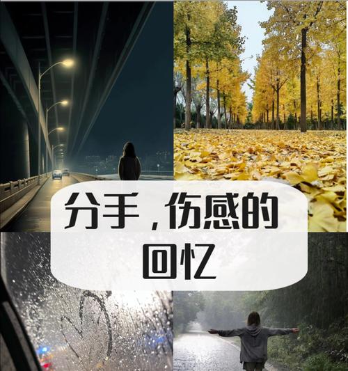 离别的花语含义是什么？它表达了怎样的情感？