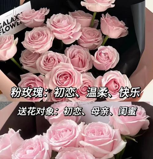 玫瑰送人代表什么？不同颜色玫瑰的花语有何不同？