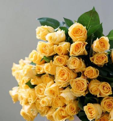 精致玉叶的花语是什么呢？玉叶花束的特别含义是什么？