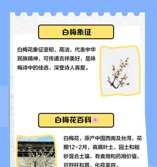 梅花不同种类的花语有何不同？