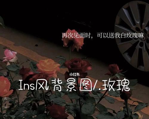 哪种花的花语是永远在你身后？