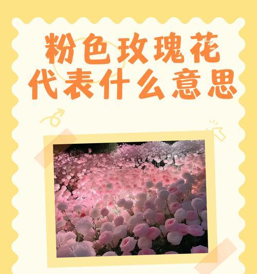 玫瑰花象征着什么？它在不同场合下有何不同含义？