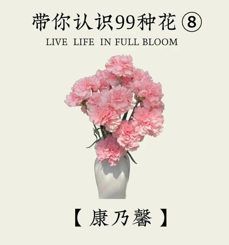 祝福暴富的花语是什么？它代表了哪种愿望？