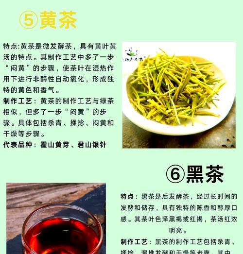 茶语代表的花语是什么？如何理解茶语的花语含义？